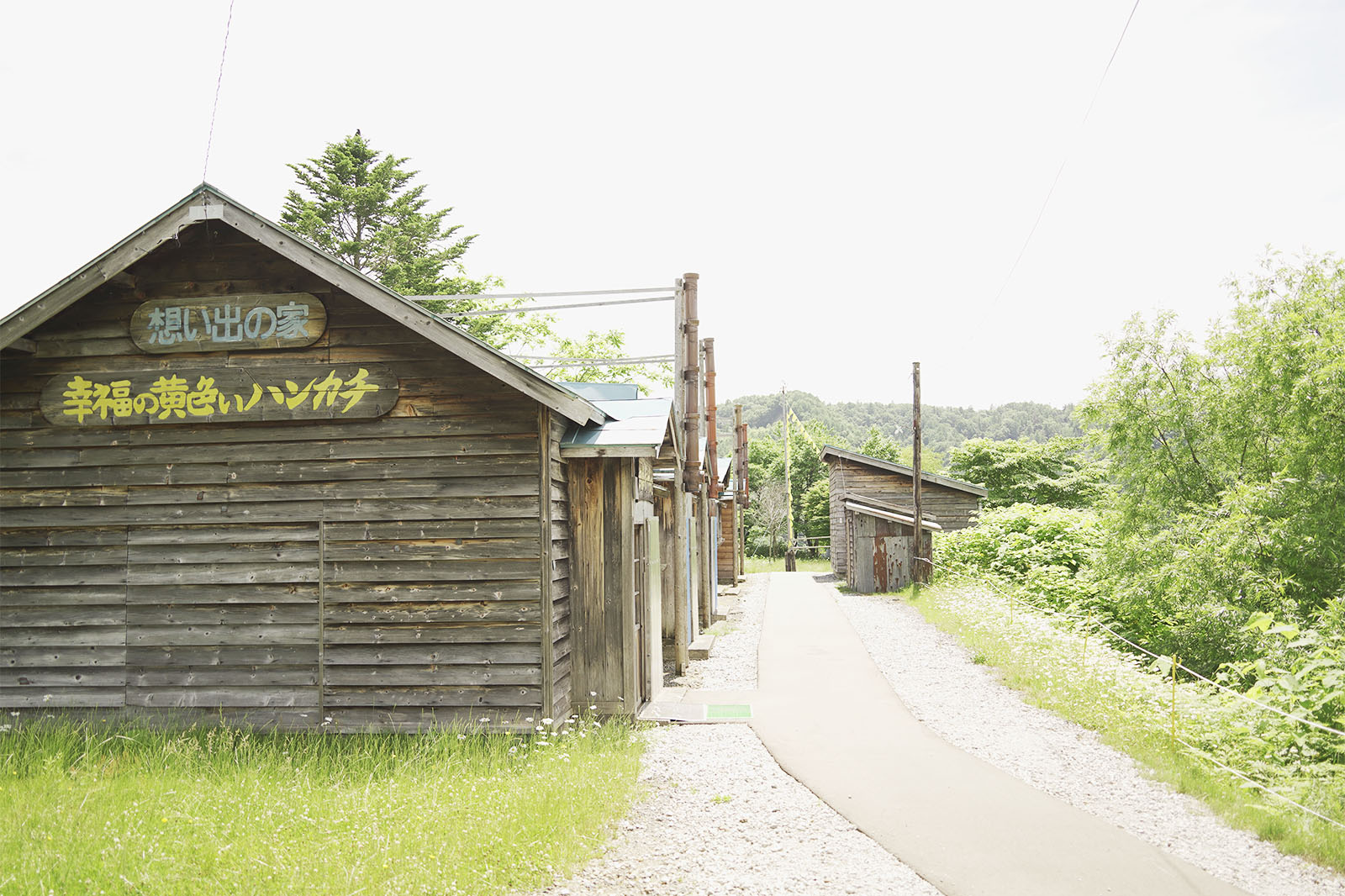 南空知ふるさと市町村圏組合 北海道の観光サイト 幸福の黄色いハンカチ想い出ひろば